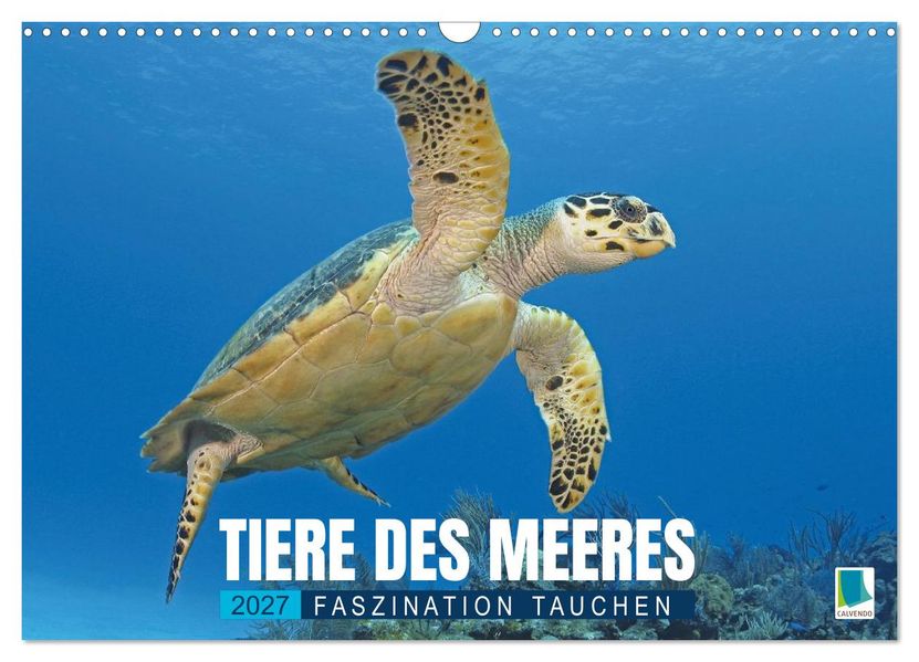 Tiere des Meeres: Faszination Tauchen (Wandkalender 2027 DIN A3 quer) CALVENDO Monatskalender