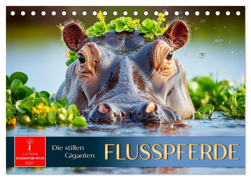 Flusspferde - die stillen Giganten (Tischkalender 2027 DIN A5 quer) CALVENDO Monatskalender