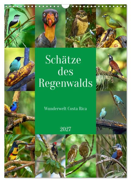 Schätze des Regenwalds (Wandkalender 2027 DIN A3 hoch) CALVENDO Monatskalender