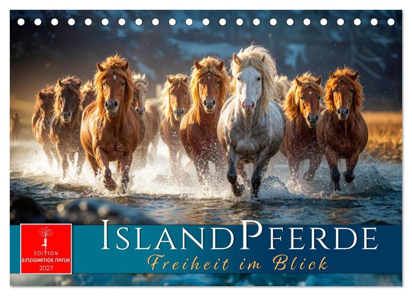 Islandpferde - Freiheit im Blick (Tischkalender 2027 DIN A5 quer) CALVENDO Monatskalender