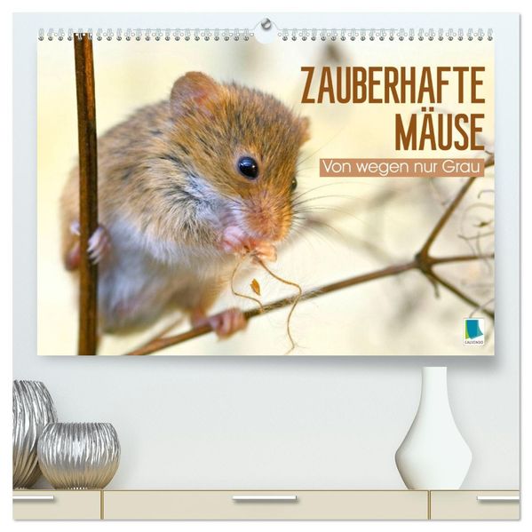 Zauberhafte Mäuse: Von wegen nur Grau (hochwertiger Premium Wandkalender 2027 DIN A2 quer) Kunstdruck in Hochglanz