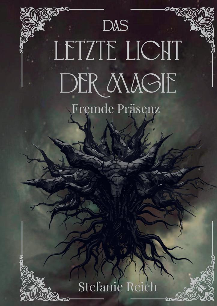 Das letzte Licht der Magie - Band 3 Mitreißende Dark & High Fantasy - Eine düstere Geschichte in einer Dark Fantasy Welt