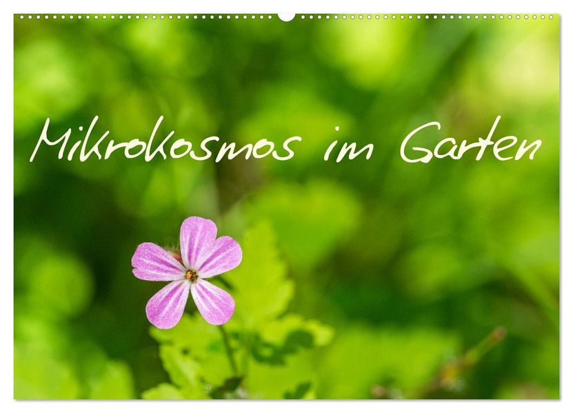Mikrokosmos im Garten (Wandkalender 2027 DIN A2 quer) CALVENDO Monatskalender