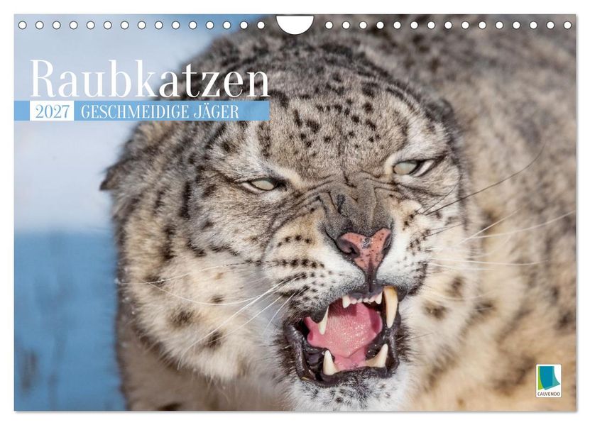 Raubkatzen: Geschmeidige Jäger (Wandkalender 2027 DIN A4 quer) CALVENDO Monatskalender