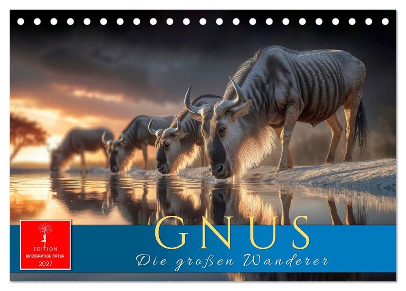 Gnus - die großen Wanderer (Tischkalender 2027 DIN A5 quer) CALVENDO Monatskalender