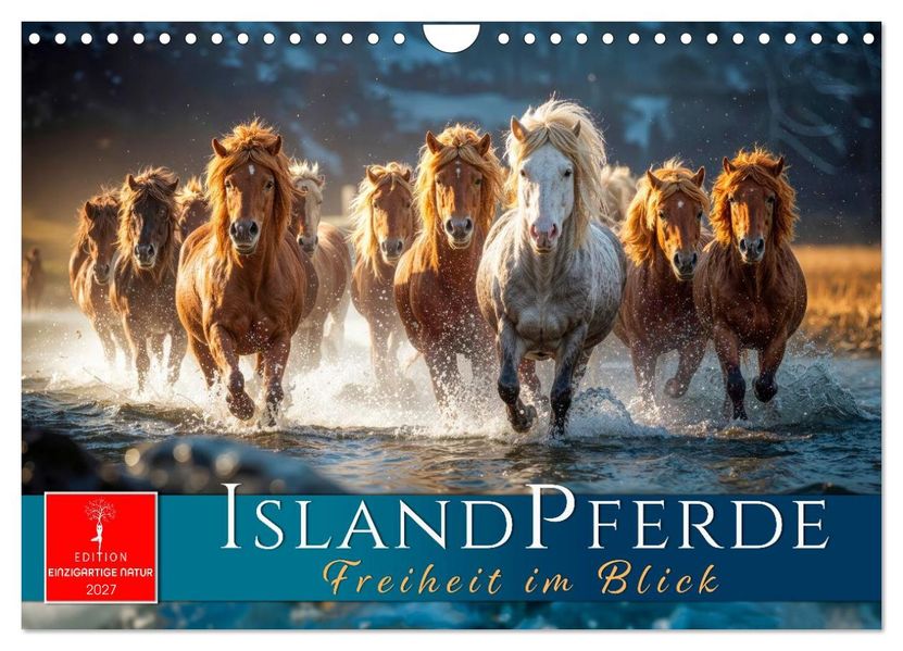Islandpferde - Freiheit im Blick (Wandkalender 2027 DIN A4 quer) CALVENDO Monatskalender