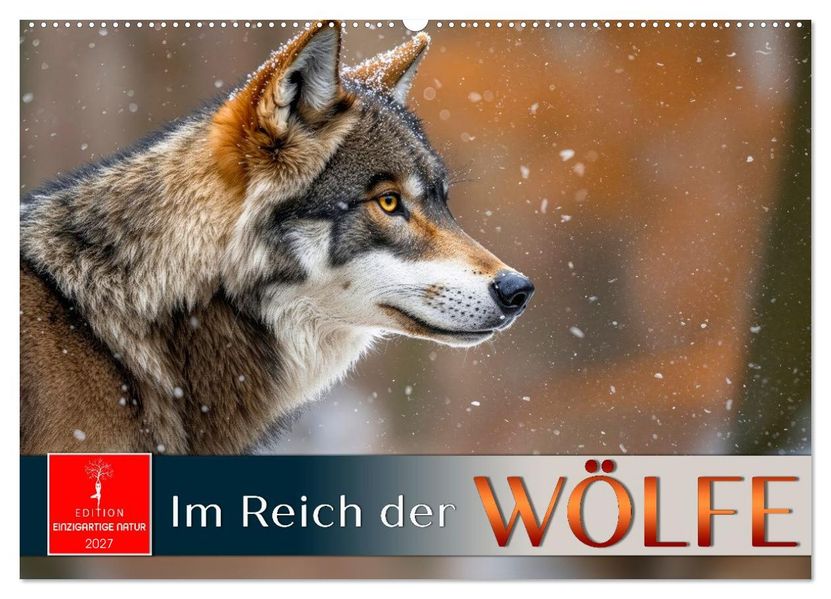 Im Reich der Wölfe (Wandkalender 2027 DIN A2 quer) CALVENDO Monatskalender