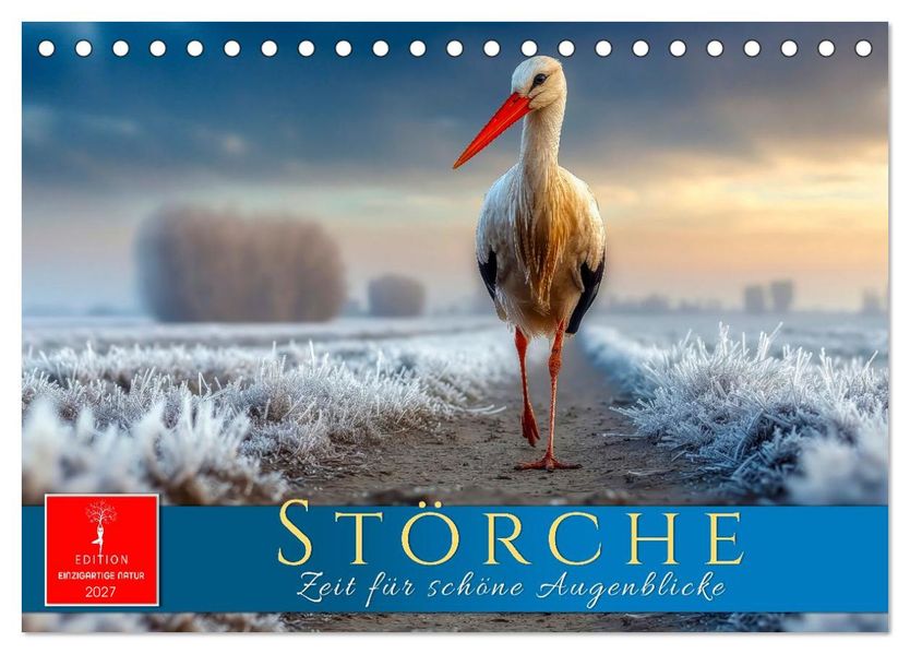 Störche - Zeit für schöne Augenblicke (Tischkalender 2027 DIN A5 quer) CALVENDO Monatskalender