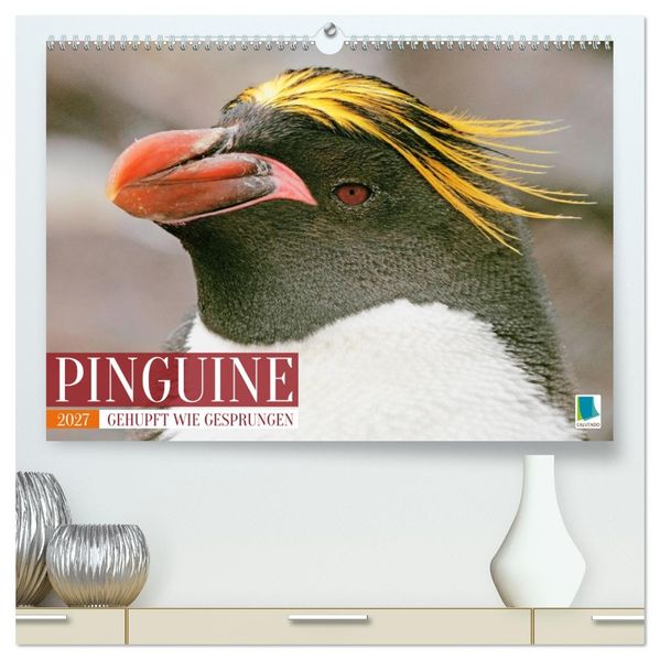 Pinguine: Gehupft wie gesprungen (hochwertiger Premium Wandkalender 2027 DIN A2 quer) Kunstdruck in Hochglanz