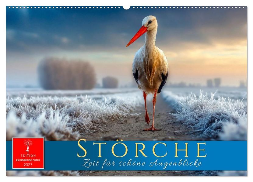 Störche - Zeit für schöne Augenblicke (Wandkalender 2027 DIN A2 quer) CALVENDO Monatskalender