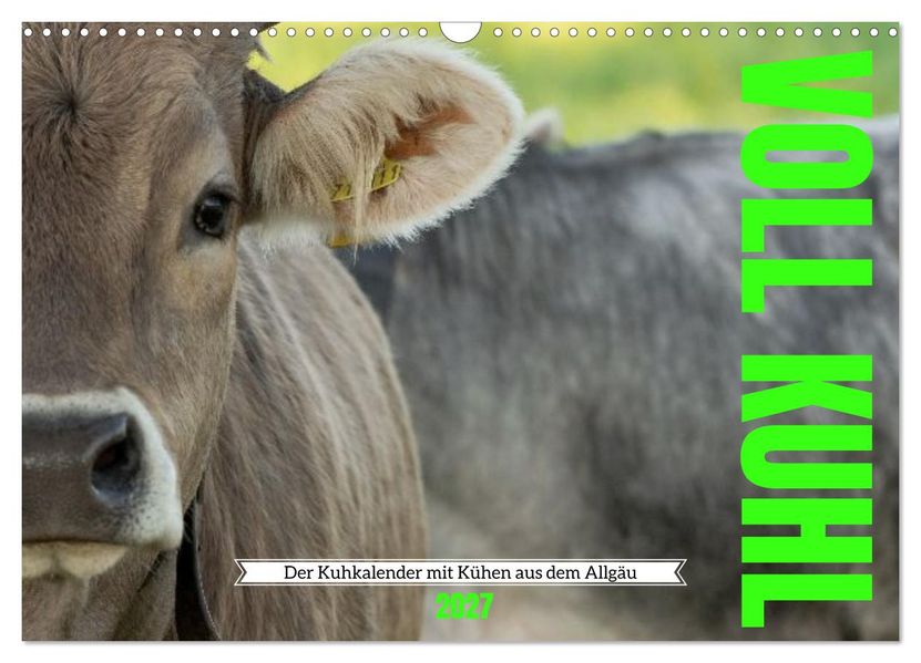 Voll kuhl - der Kuhkalender mit Kühen aus dem Allgäu (Wandkalender 2027 DIN A3 quer) CALVENDO Monatskalender