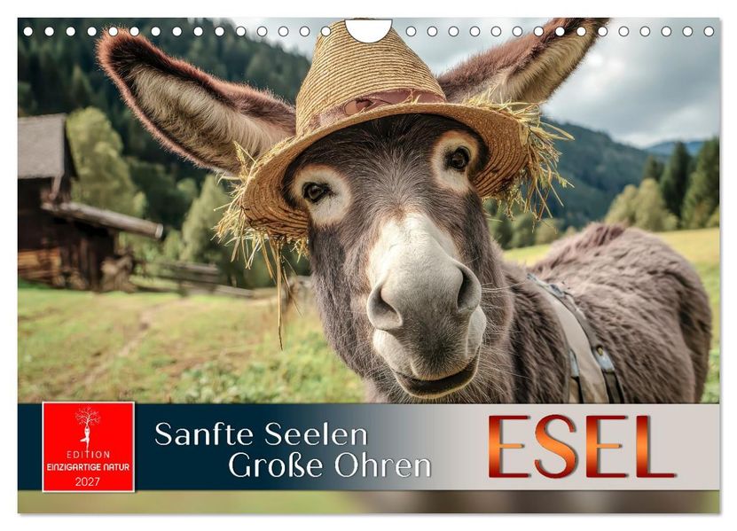 Esel - sanfte Seelen große Ohren (Wandkalender 2027 DIN A4 quer) CALVENDO Monatskalender