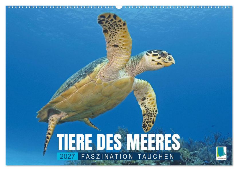 Tiere des Meeres: Faszination Tauchen (Wandkalender 2027 DIN A2 quer) CALVENDO Monatskalender