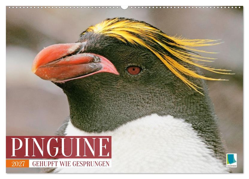 Pinguine: Gehupft wie gesprungen (Wandkalender 2027 DIN A2 quer) CALVENDO Monatskalender