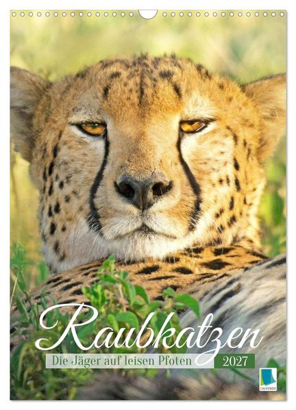 Raubkatzen: Die Jäger auf leisen Pfoten (Wandkalender 2027 DIN A3 hoch) CALVENDO Monatskalender