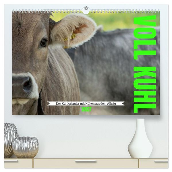 Voll kuhl - der Kuhkalender mit Kühen aus dem Allgäu (hochwertiger Premium Wandkalender 2027 DIN A2 quer) Kunstdruck in Hochglanz