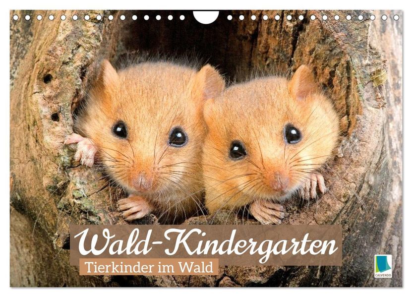 Wald-Kindergarten: Tierkinder im Wald (Wandkalender 2027 DIN A4 quer) CALVENDO Monatskalender