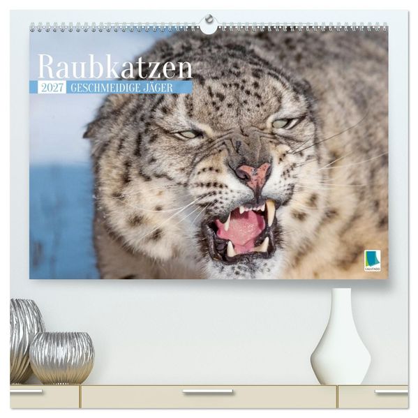 Raubkatzen: Geschmeidige Jäger (hochwertiger Premium Wandkalender 2027 DIN A2 quer) Kunstdruck in Hochglanz