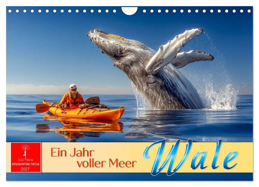 Wale - ein Jahr voller Meer (Wandkalender 2027 DIN A4 quer) CALVENDO Monatskalender