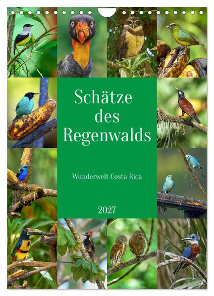 Schätze des Regenwalds (Wandkalender 2027 DIN A4 hoch) CALVENDO Monatskalender