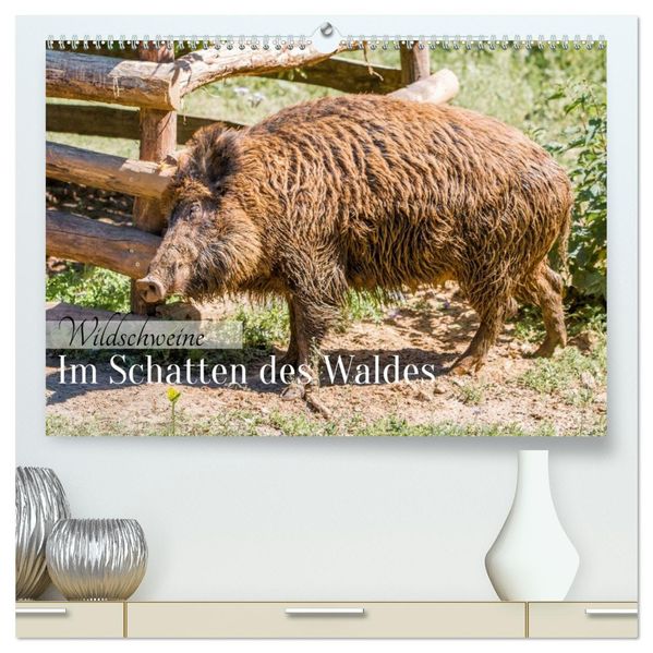 Wildschweine - Im Schatten des Waldes (hochwertiger Premium Wandkalender 2027 DIN A2 quer) Kunstdruck in Hochglanz
