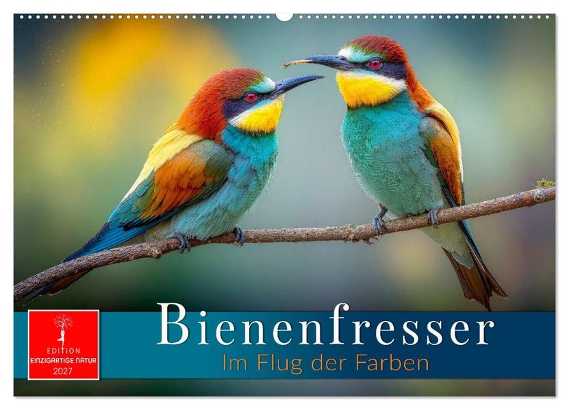 Bienenfresser - im Flug der Farben (Wandkalender 2027 DIN A2 quer) CALVENDO Monatskalender