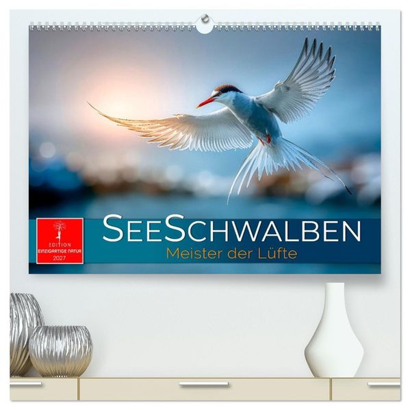Seeschwalben - Meister der Lüfte (hochwertiger Premium Wandkalender 2027 DIN A2 quer) Kunstdruck in Hochglanz