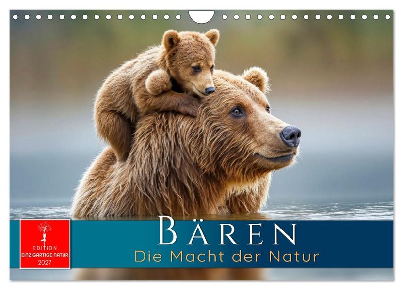 Bären - Die Macht der Natur (Wandkalender 2027 DIN A4 quer) CALVENDO Monatskalender