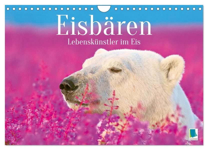 Eisbären: Lebenskünstler im Eis (Wandkalender 2027 DIN A4 quer) CALVENDO Monatskalender