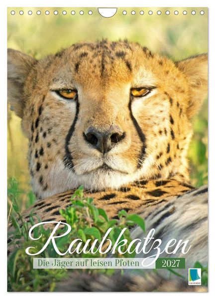 Raubkatzen: Die Jäger auf leisen Pfoten (Wandkalender 2027 DIN A4 hoch) CALVENDO Monatskalender