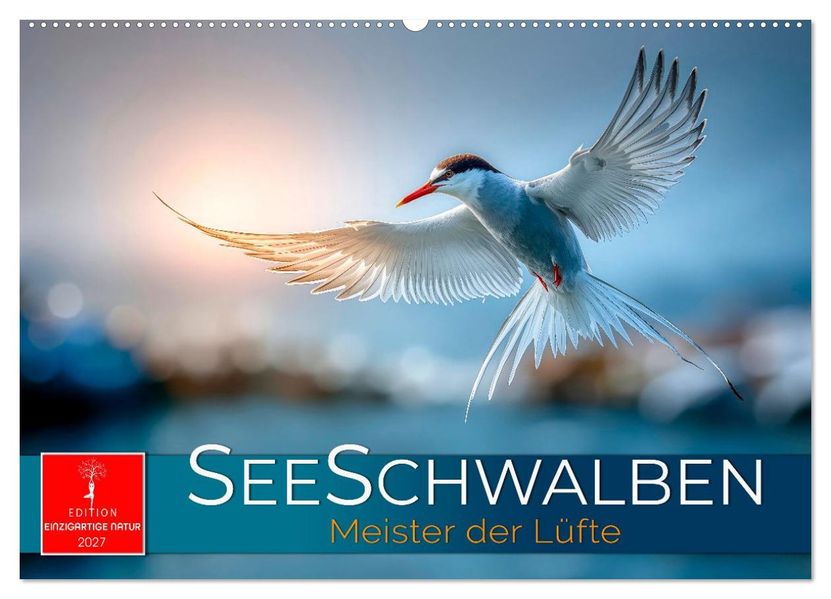 Seeschwalben - Meister der Lüfte (Wandkalender 2027 DIN A2 quer) CALVENDO Monatskalender