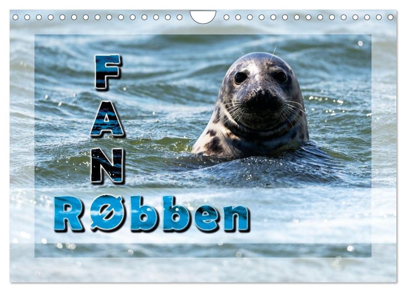 Fanø - Robben (Wandkalender 2027 DIN A4 quer) CALVENDO Monatskalender