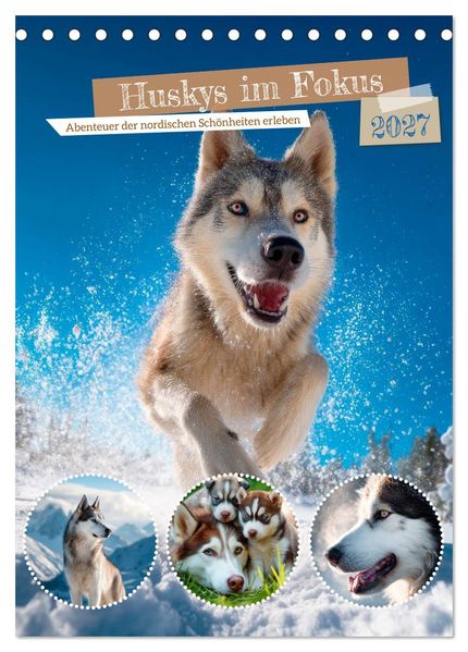 Huskys im Fokus (Tischkalender 2027 DIN A5 hoch) CALVENDO Monatskalender