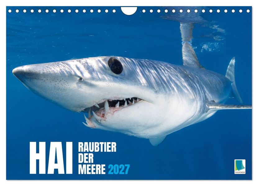 Hai: Raubtier der Meere (Wandkalender 2027 DIN A4 quer) CALVENDO Monatskalender