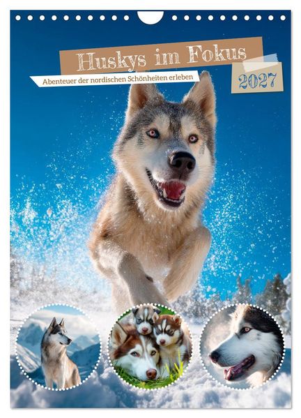 Huskys im Fokus (Wandkalender 2027 DIN A4 hoch) CALVENDO Monatskalender