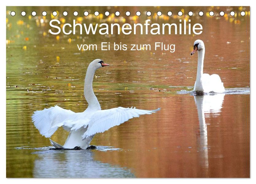 Schwanenfamilie vom Ei bis zum Fliegen. (Tischkalender 2027 DIN A5 quer) CALVENDO Monatskalender