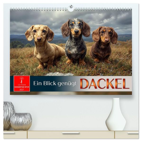 Dackel - ein Blick genügt (hochwertiger Premium Wandkalender 2027 DIN A2 quer) Kunstdruck in Hochglanz