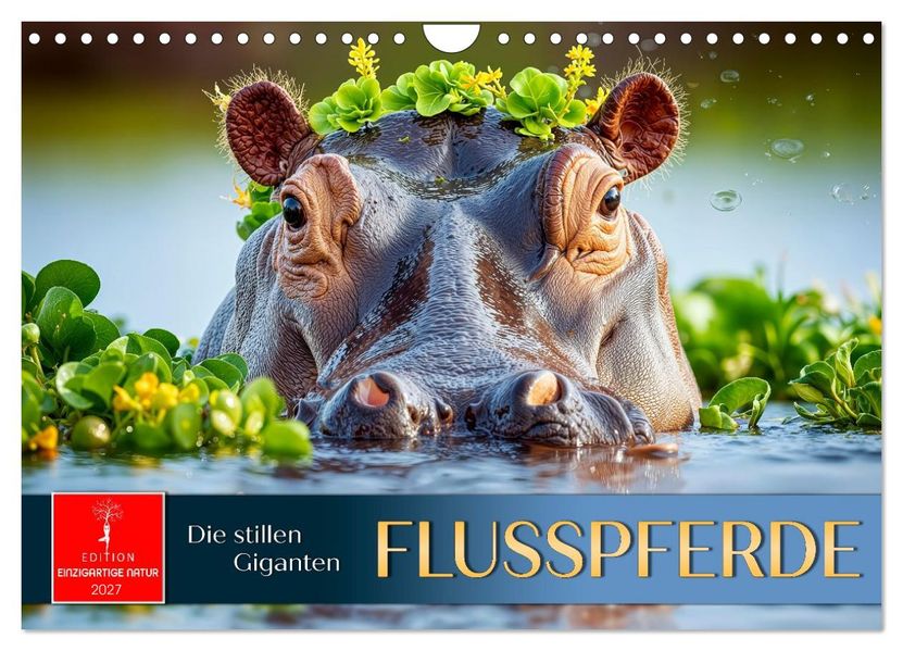 Flusspferde - die stillen Giganten (Wandkalender 2027 DIN A4 quer) CALVENDO Monatskalender