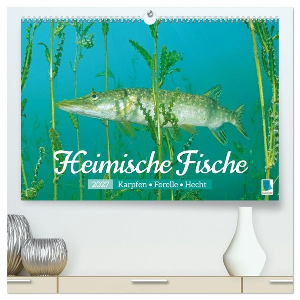 Heimische Fische: Karpfen Forelle Hecht (hochwertiger Premium Wandkalender 2027 DIN A2 quer) Kunstdruck in Hochglanz