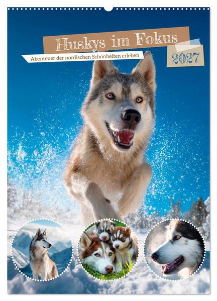 Huskys im Fokus (Wandkalender 2027 DIN A2 hoch) CALVENDO Monatskalender