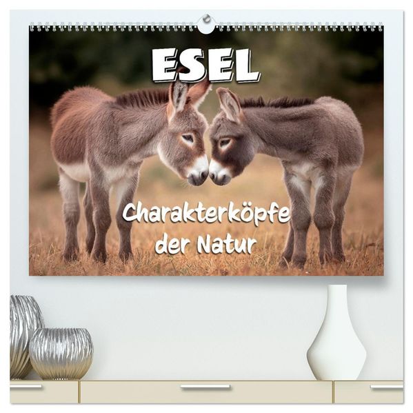 Esel - Charakterköpfe der Natur (hochwertiger Premium Wandkalender 2027 DIN A2 quer) Kunstdruck in Hochglanz