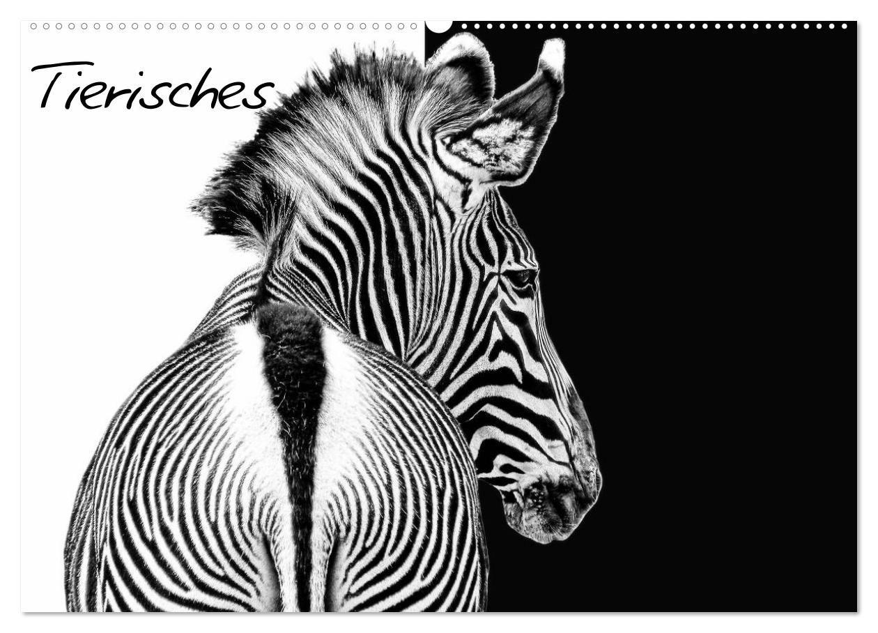 Tierisches (Wandkalender 2027 DIN A2 quer) CALVENDO Monatskalender