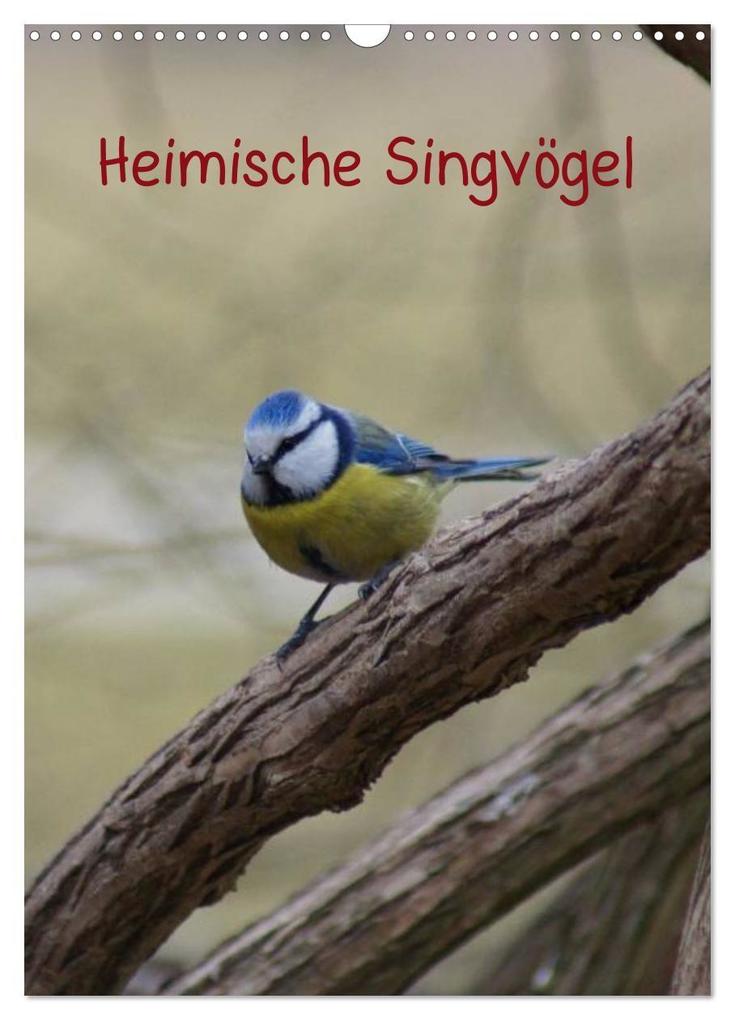 Heimische Singvögel (Wandkalender 2027 DIN A3 hoch) CALVENDO Monatskalender