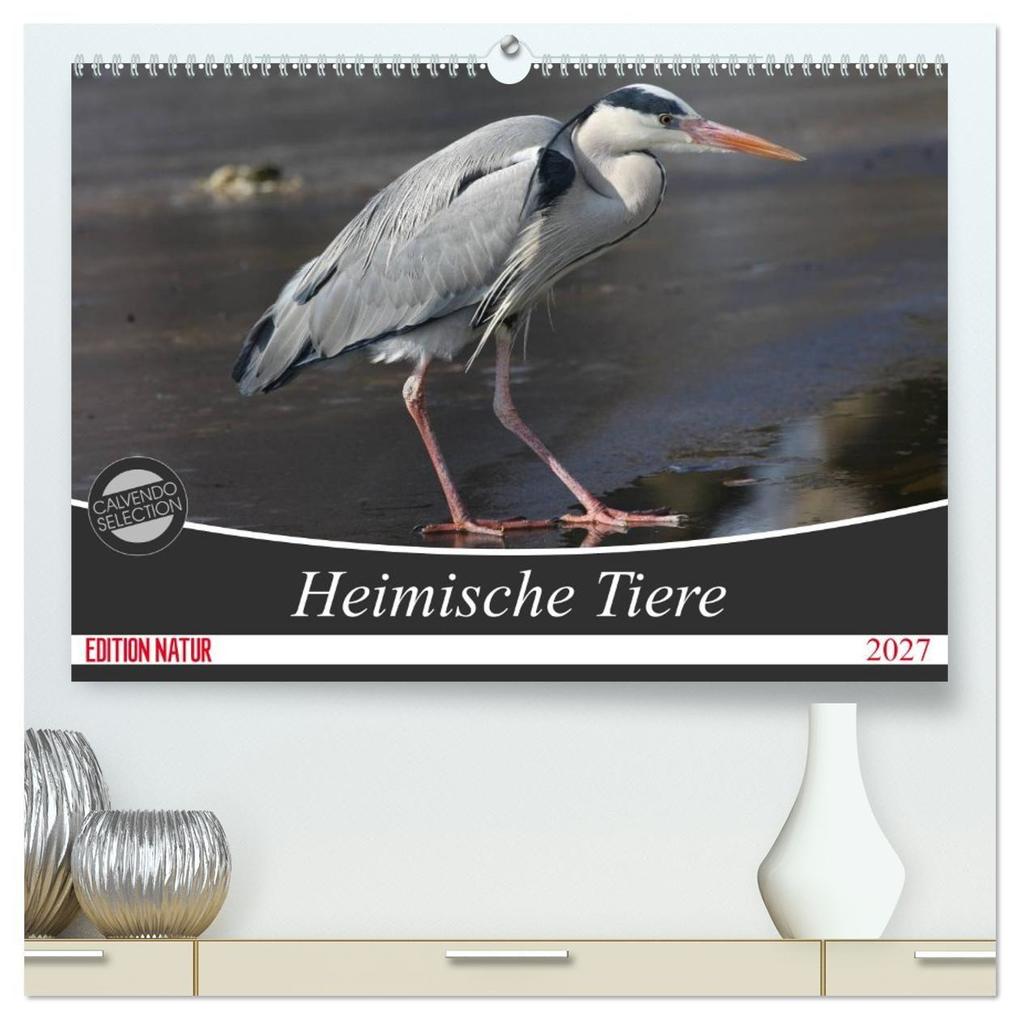 Heimische Tiere (hochwertiger Premium Wandkalender 2027 DIN A2 quer) Kunstdruck in Hochglanz