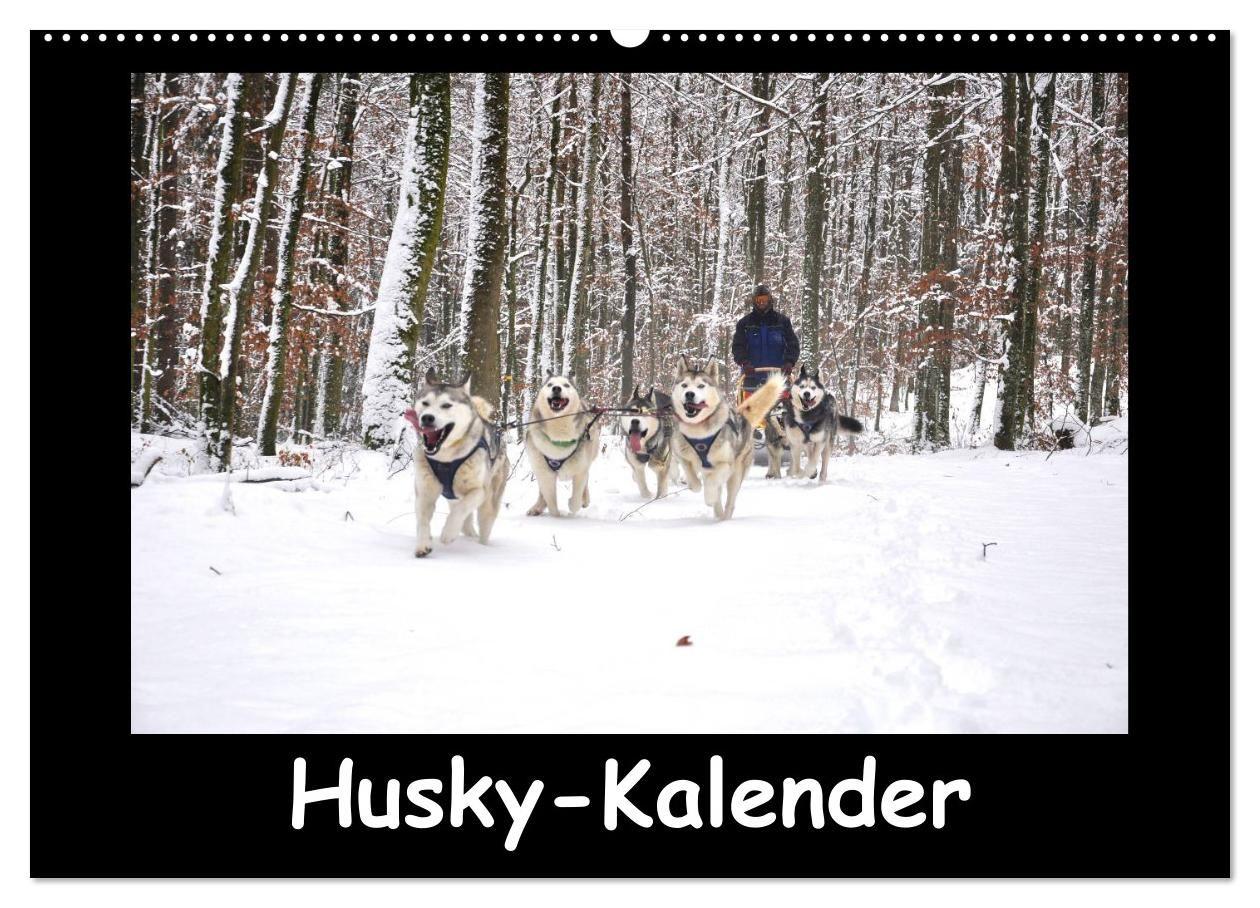 Husky-Kalender (Wandkalender 2027 DIN A2 quer) CALVENDO Monatskalender