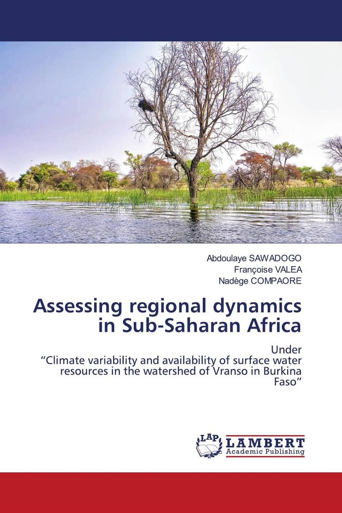 Assessing regional dynamics in Sub-Saharan Africa
