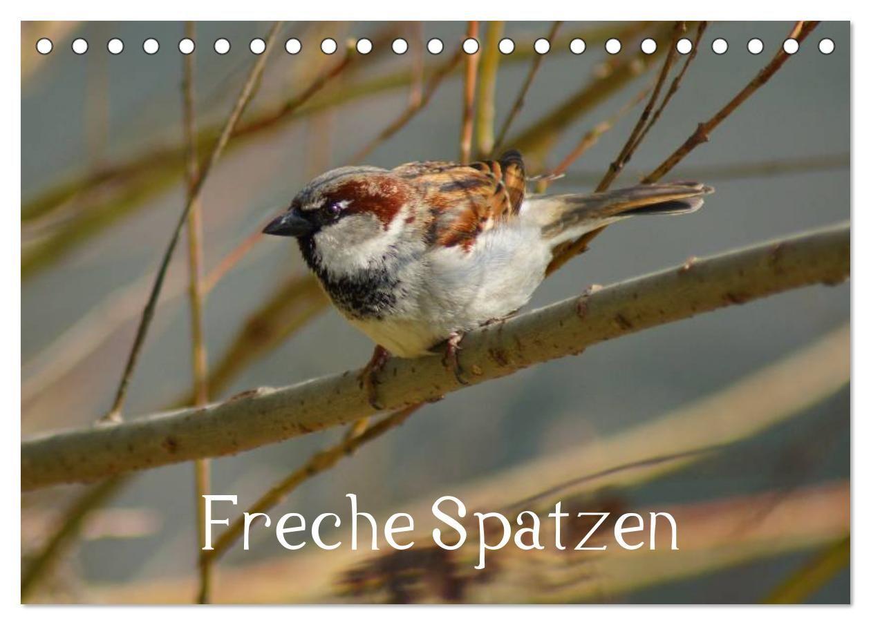 Freche Spatzen (Tischkalender 2027 DIN A5 quer) CALVENDO Monatskalender