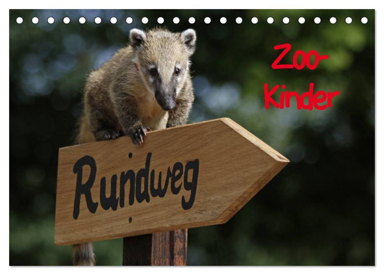 Zoo-Kinder (Tischkalender 2027 DIN A5 quer) CALVENDO Monatskalender