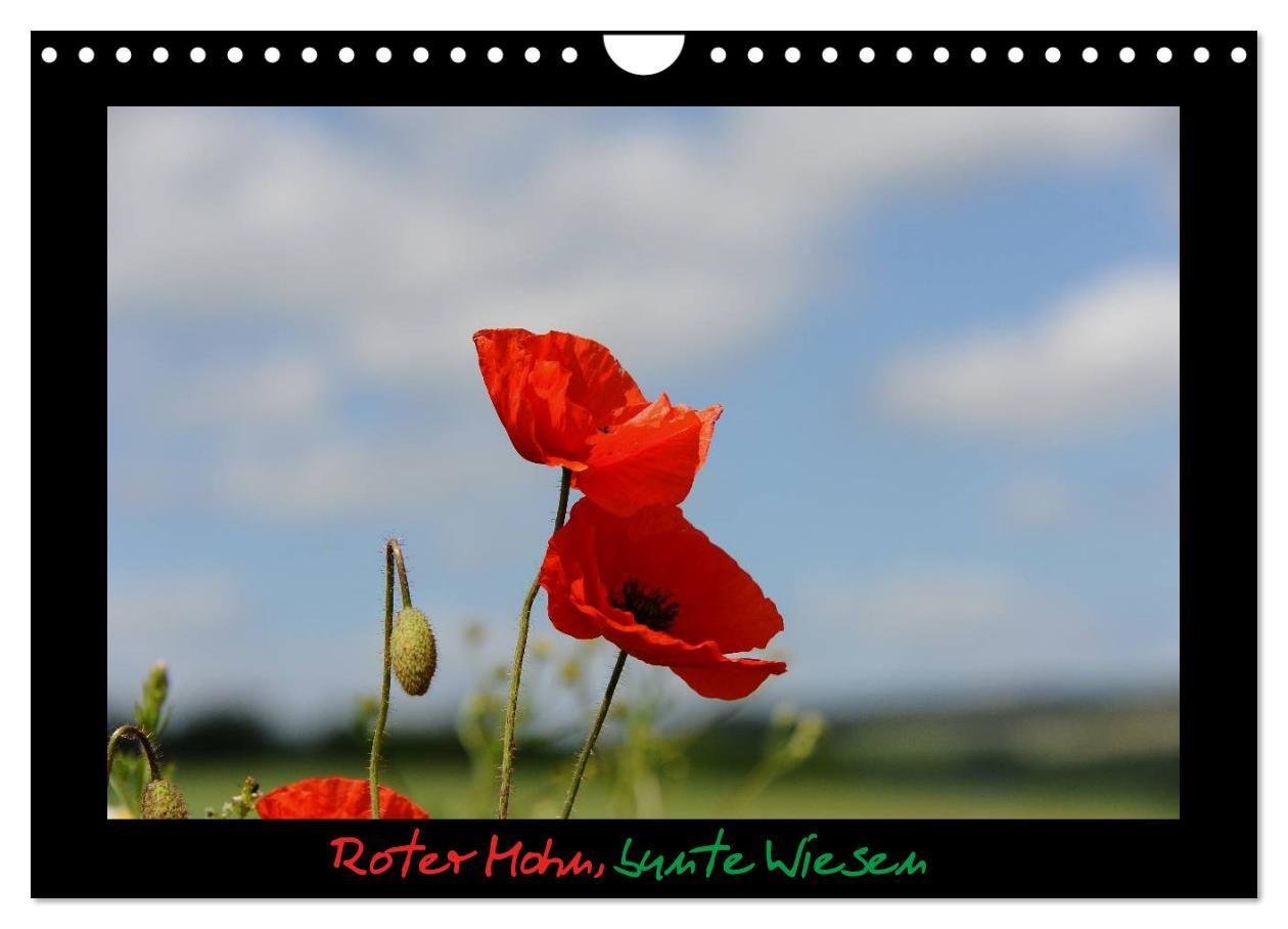 Roter Mohn bunte Wiesen (Wandkalender 2027 DIN A4 quer) CALVENDO Monatskalender