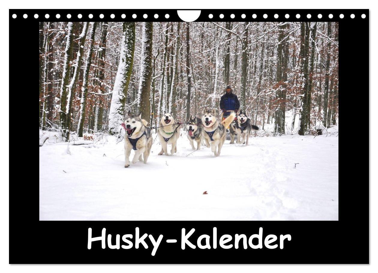 Husky-Kalender (Wandkalender 2027 DIN A4 quer) CALVENDO Monatskalender